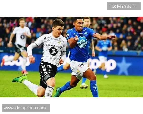 罗森博格与斯特罗姆欧赔数据深度对比分析与预测